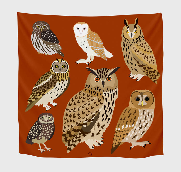 Lisa Voisard - Foulard "Eulen"