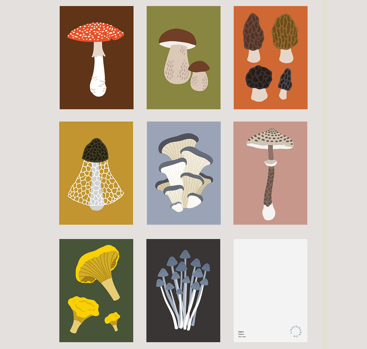 Lisa Voisard - Postkartenset "Pilze"