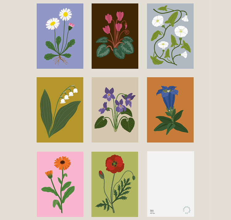 Lisa Voisard - Postcardset "Flowers"