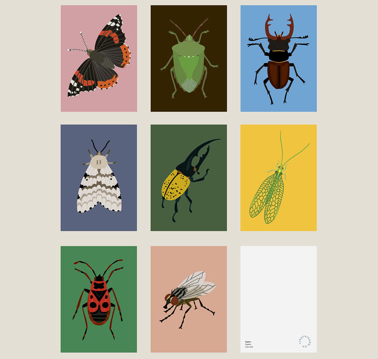 Lisa Voisard - Postkartenset "Insekten"