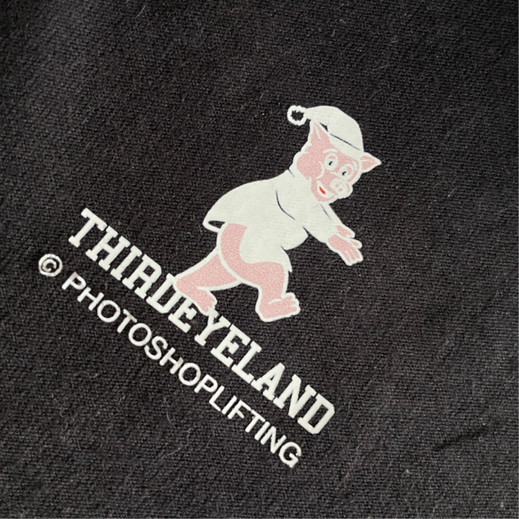 PHOTOSHOPLIFTING x Thirdeyeland - Bügelbild - "PIG"