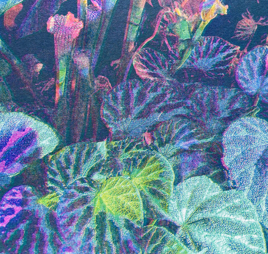 Aline Meier - Plakat "SINGAPUR 1"