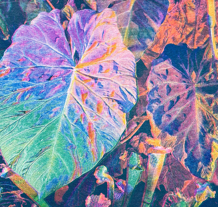 Aline Meier - Plakat "SINGAPUR 1"