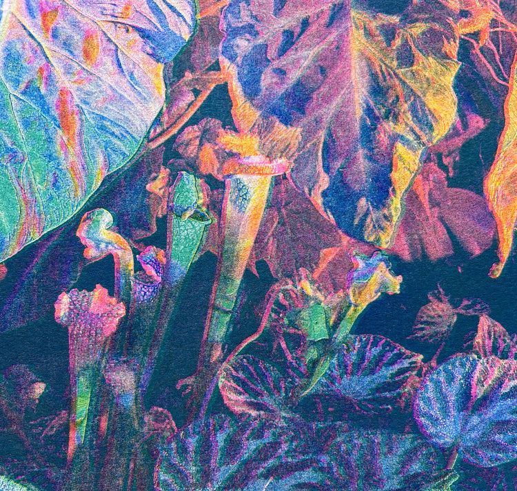 Aline Meier - Plakat "SINGAPUR 1"