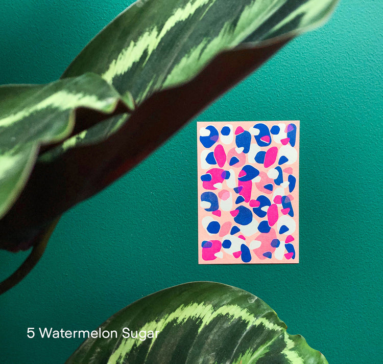 Aline Meier - Kartenset "Of matching fake wild Watermelon"