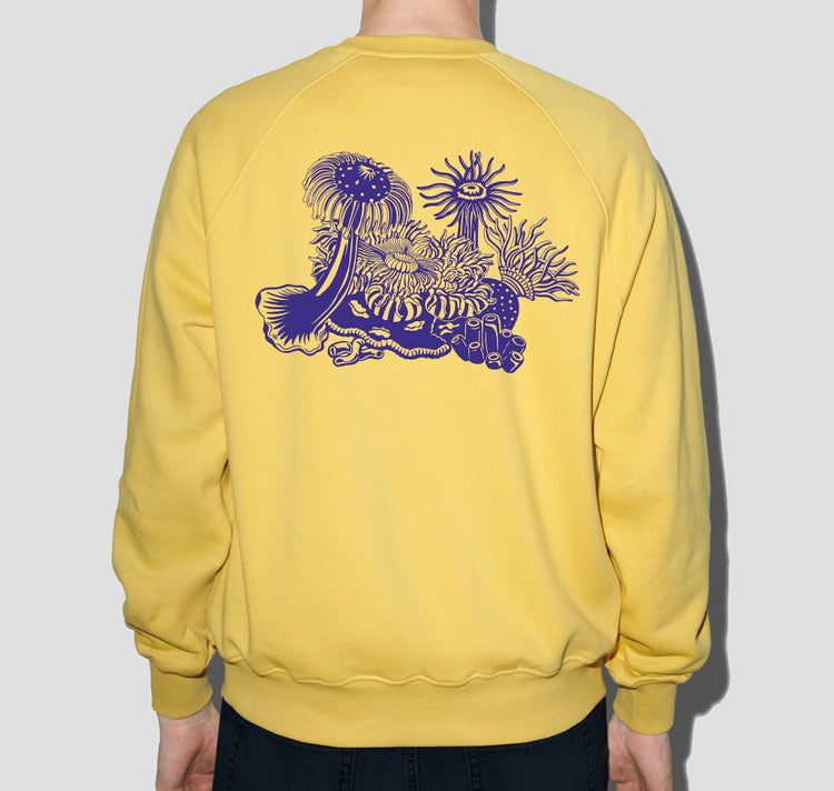 GINNY - Maglione unico "Anemoni" per uomo (M)