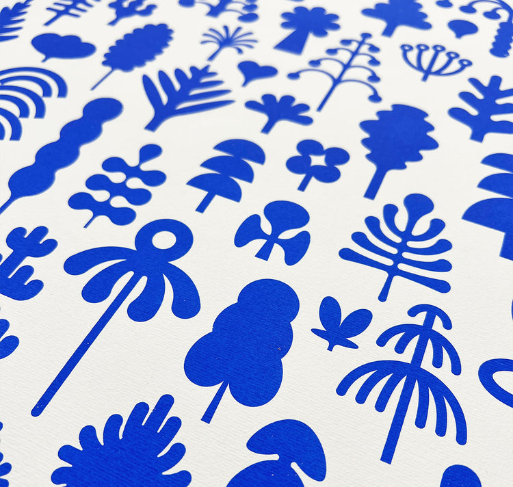 Joël Roth - Poster "Botanica" (Edizione Blu)