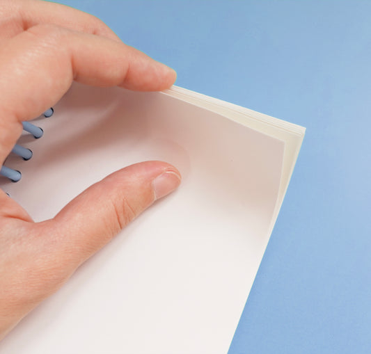 BAS - Autocollants "Capybara"