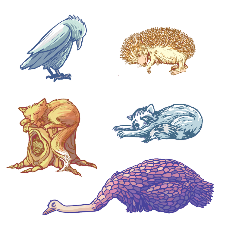 Kathrin Heierli - Set di adesivi "Cozy Critters"