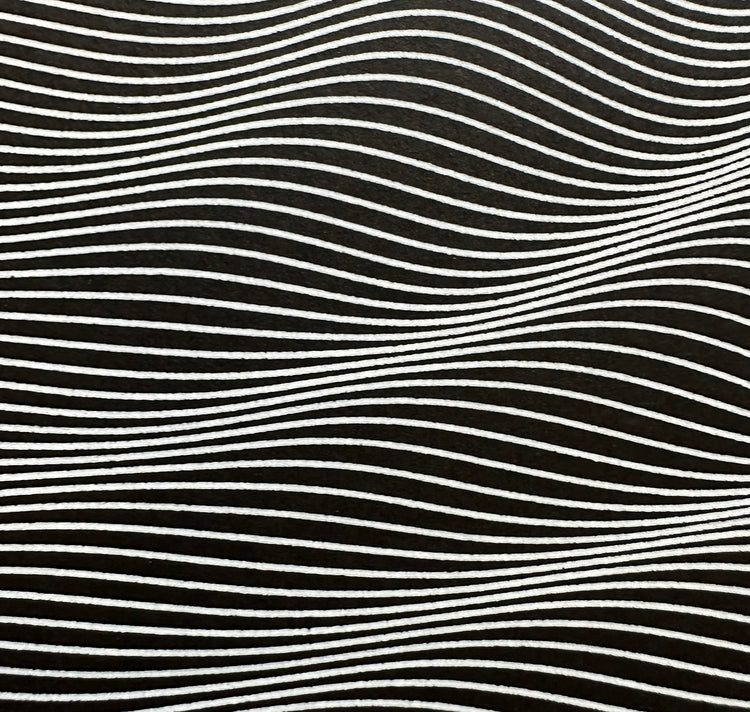David Odermatt - Plakat “Wavelets” (Pen plot)