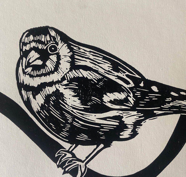 GINNY - Poster "Gli uccelli"