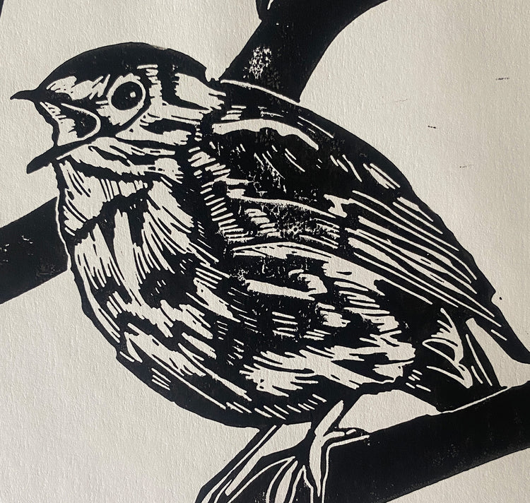 GINNY - Poster "Gli uccelli"