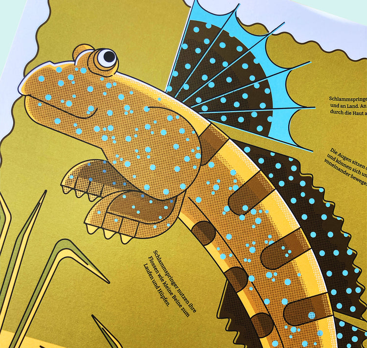 Fabienne Paul - Plakat "Schlammspringer"