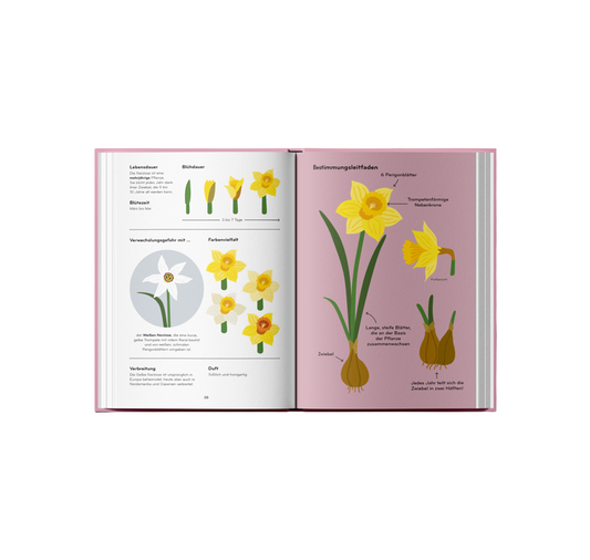 Lisa Voisard - Buch "Florama"