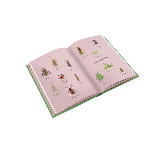 Lisa Voisard - Buch "Insektorama"