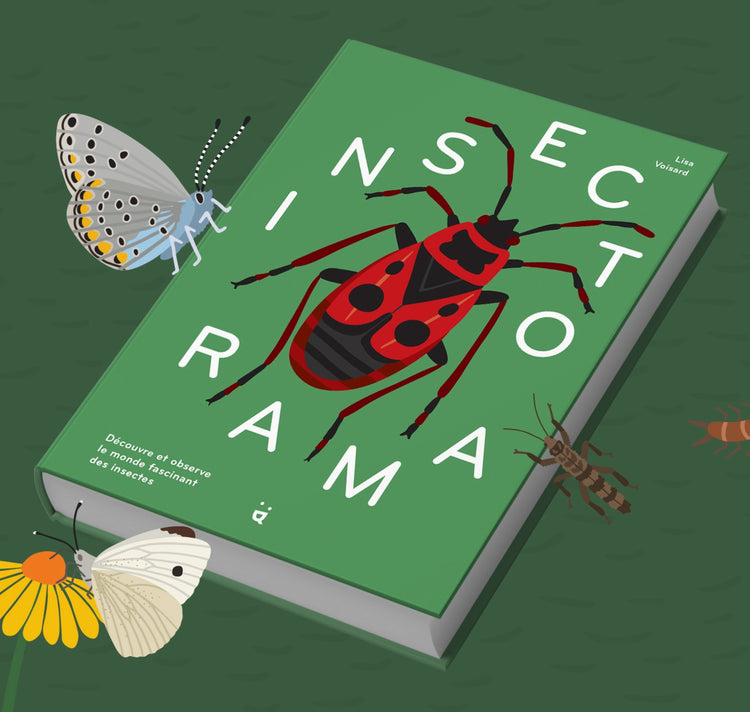 Lisa Voisard - Buch "Insektorama"