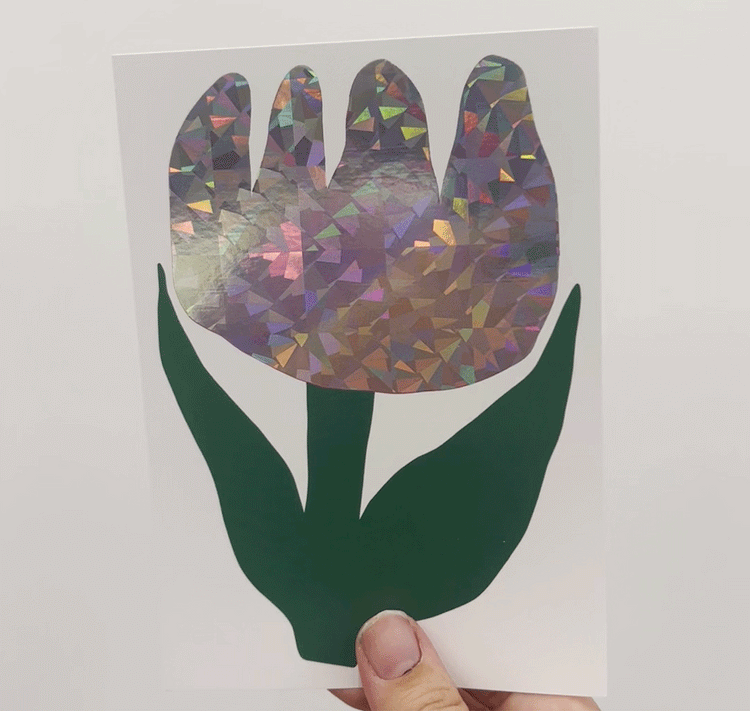 Jolanda Epprecht - Set de cartes postales "Fleurs I"