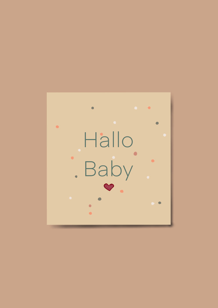 Karin Lena Schmid - Album für das erste Lebensjahr "Hallo Baby"