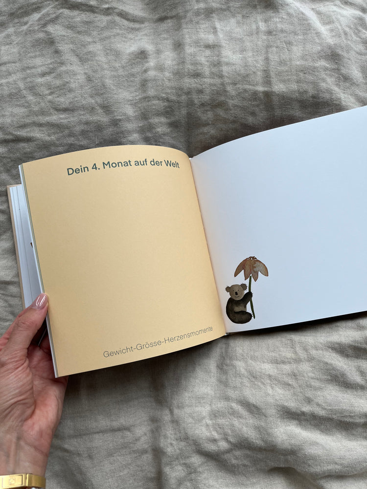 Karin Lena Schmid - Album für das erste Lebensjahr "Hallo Baby"