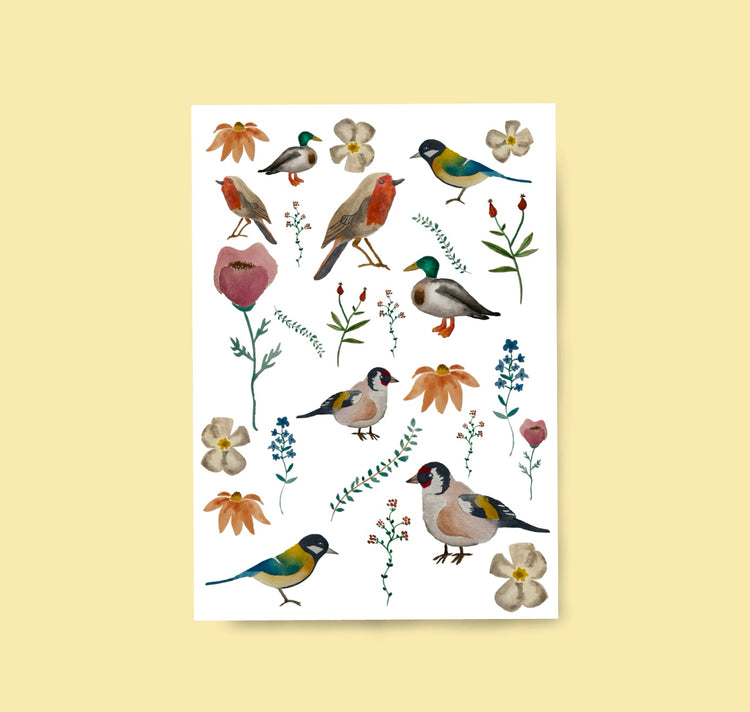 Karin Lena Schmid - Postkarte "Diverse Aquarell-Vögel"