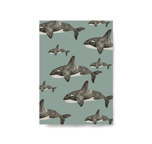 Karin Lena Schmid - Cartolina "Orche"