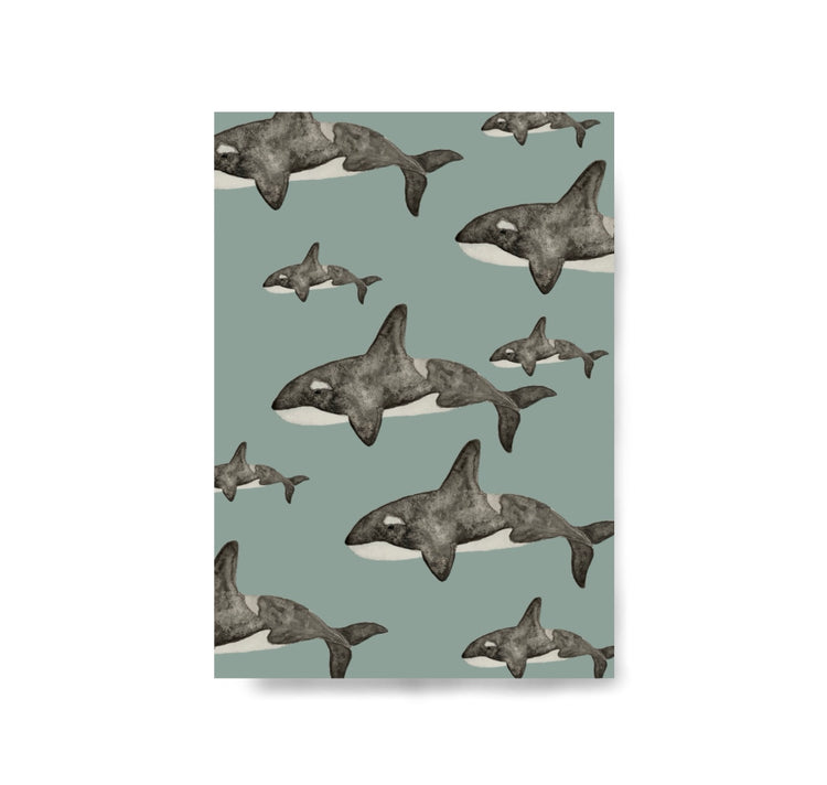 Karin Lena Schmid - Cartolina "Orche"