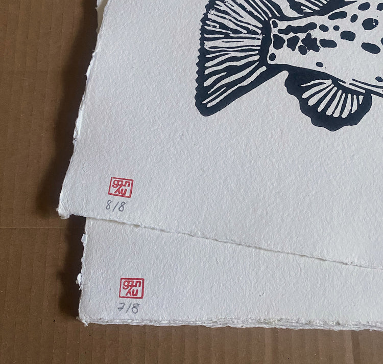 GINNY - Poster "Il pesce palla"