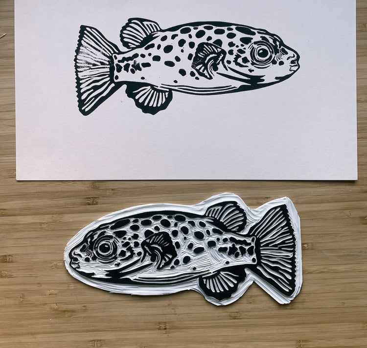 GINNY - Poster "Il pesce palla"