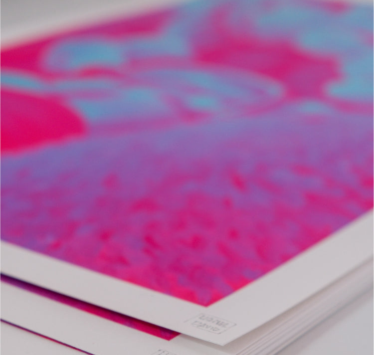 Lionel David - Stampa artistica "Cigno"