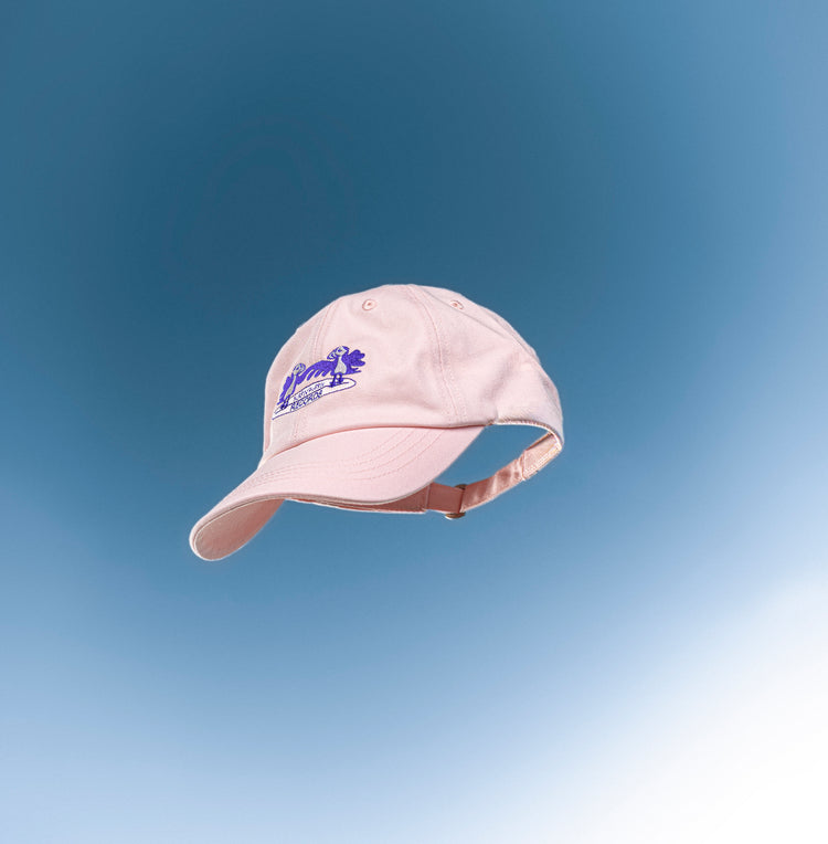Surfin’ Puffin Records - Cap (Rosé)