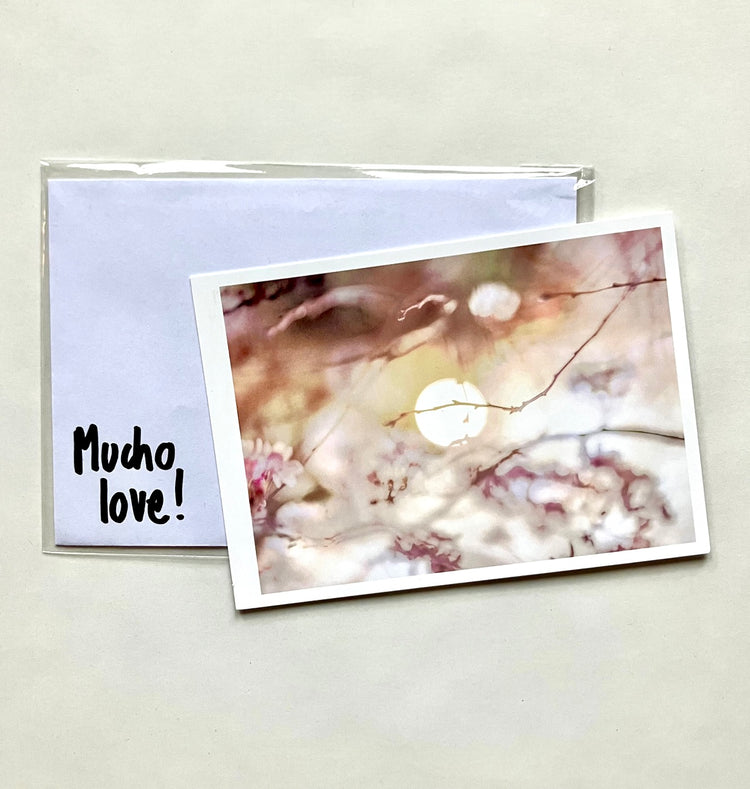 Mucho Love - Postkarte "Matthieu Gafsou"