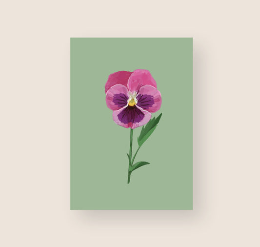 Hartezeiten - Postkarte "Stiefmütterchen"