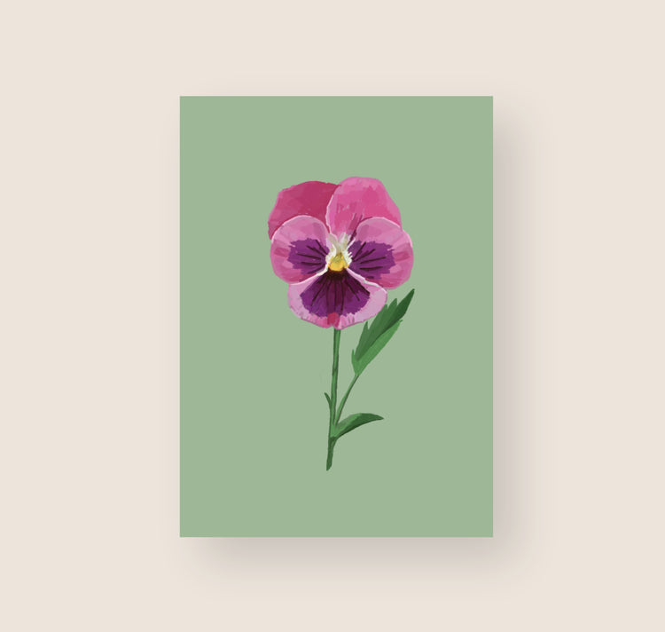 Hartezeiten - Postkarte "Stiefmütterchen"