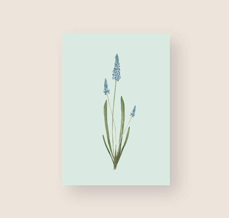 Temps difficiles - Carte postale « Fleur bleue »