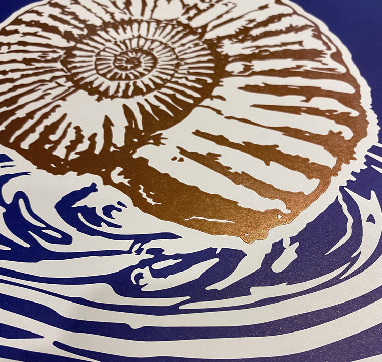 GINNY - Poster "Ammonoidea"