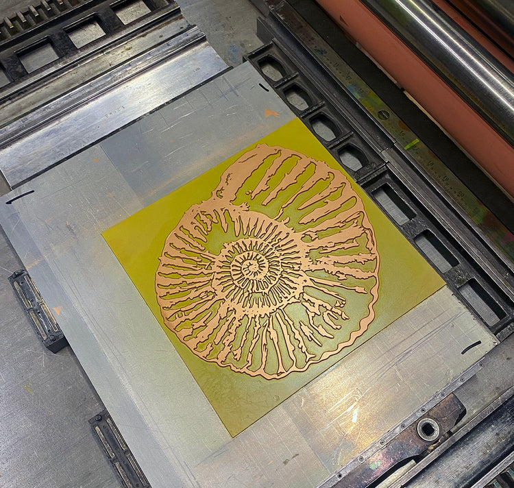 GINNY - Poster "Ammonoidea"