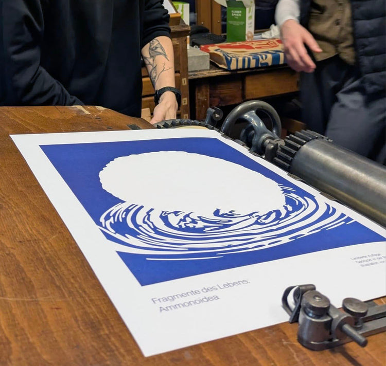 GINNY - Poster "Ammonoidea"