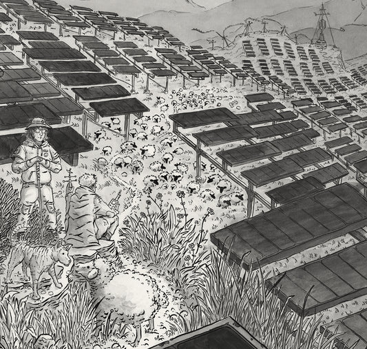 Hyperraumverlag - Poster "Pecora solare"