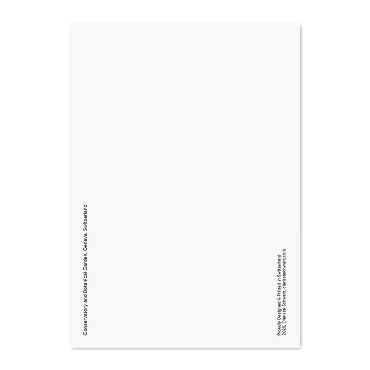 Clarissa Schwarz - Postkarte "Geneva, Conservatory and Botanical Garden"