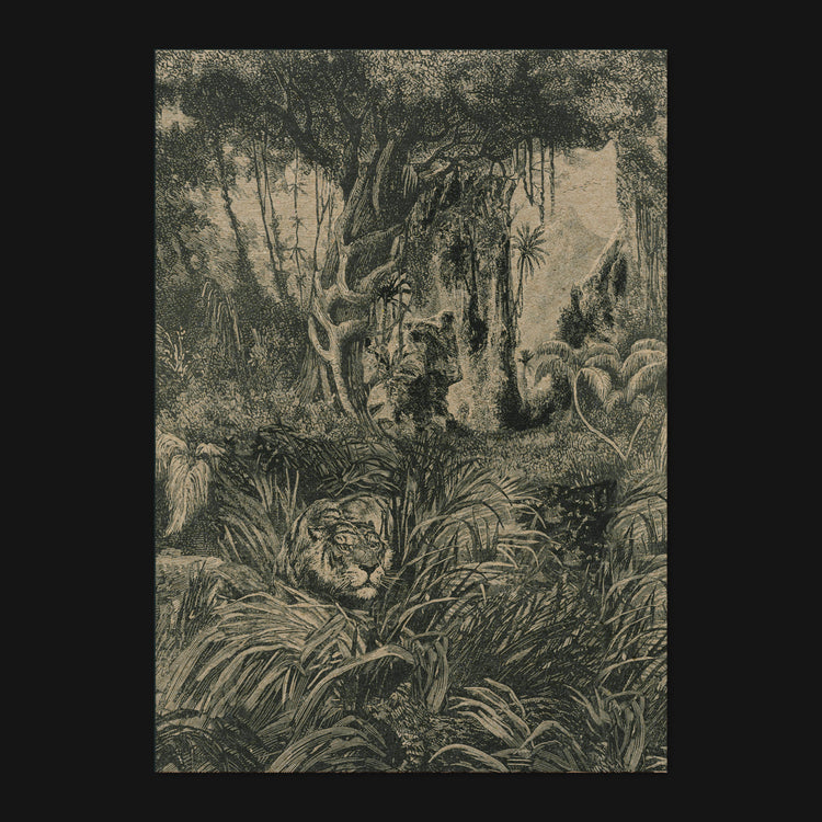 Clarissa Schwarz - Postkarte "Tiger"