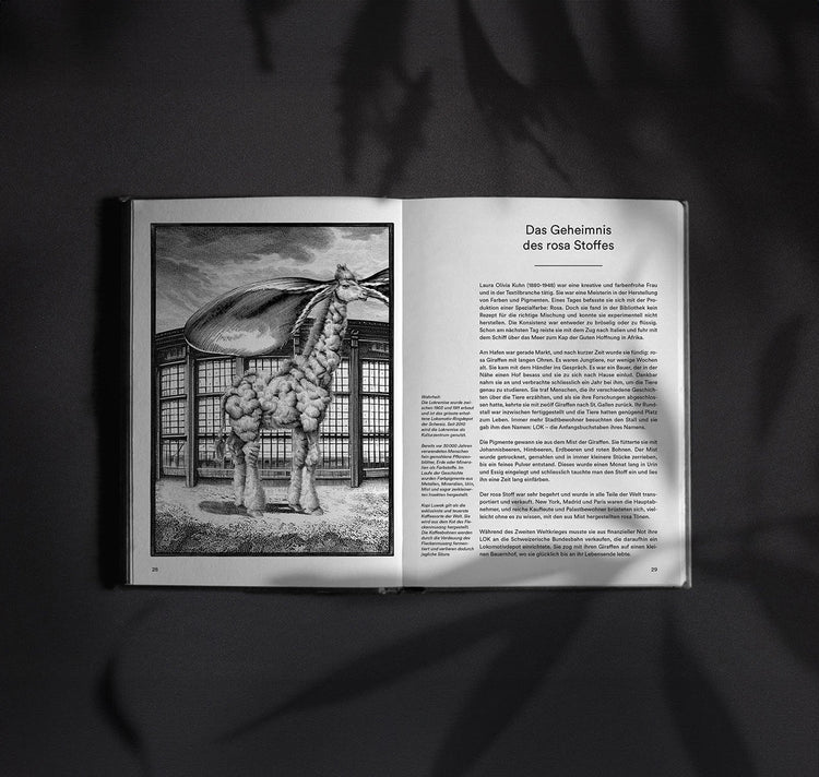 Clarissa Schwarz – Buch "St.Galler Geschichten"