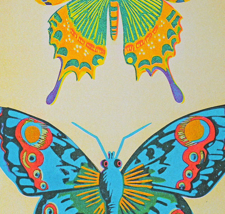 Anna-Lisa Schneeberger - Poster "Uccelli"