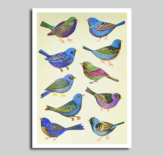 Anna-Lisa Schneeberger - Plakat "Vögel"