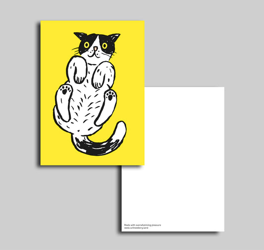 Anna-Lisa Schneeberger - Postkarte "Büsi"