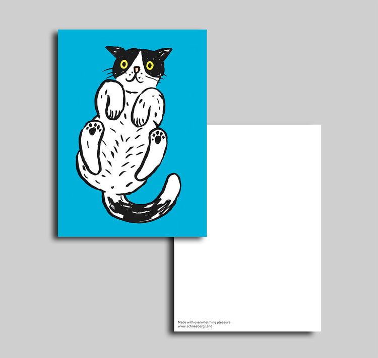 Anna-Lisa Schneeberger - Cartolina "Büsi Blau"