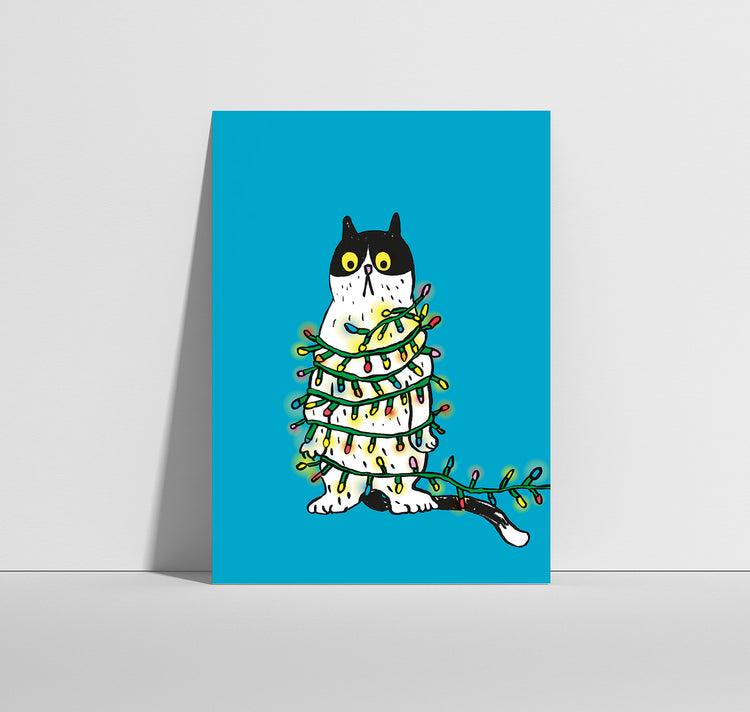 Anna-Lisa Schneeberger - Cartolina "Gatto con lucine blu"