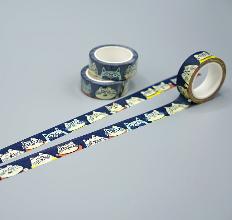 Anna-Lisa Schneeberger - Washitape "Büsis"