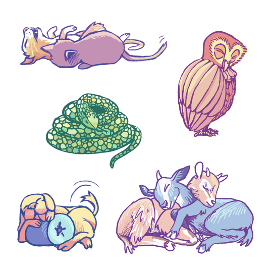 Kathrin Heierli - Set di adesivi "Animali assonnati"