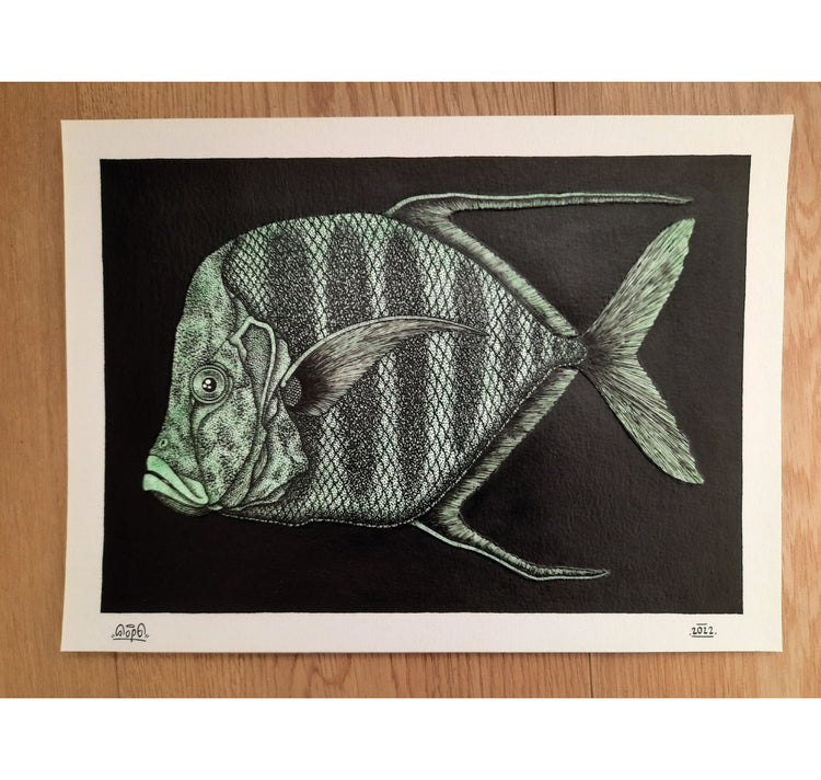 SOPE - Original "Fisch Nr. 18"