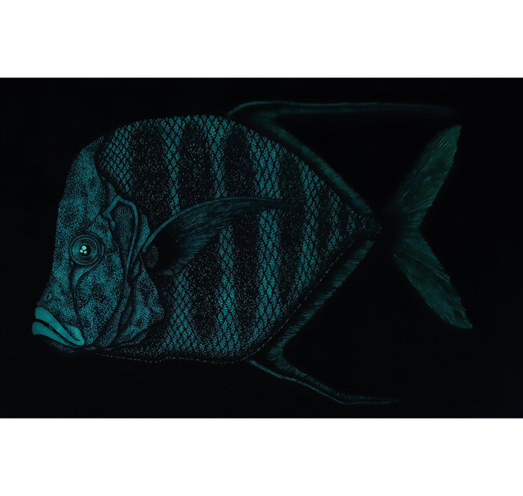 SOPE - Original "Fisch Nr. 18"